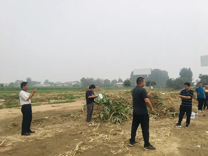 永年區(qū)最新工程項(xiàng)目,時(shí)代印記與未來(lái)展望之路